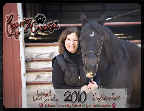 Cover image of the Paws for a Cause Calendar with Professor Cynthia Adams and her horse